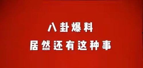 娱乐八卦爆料热词,揭秘最新八卦热词背后的秘密  第1张