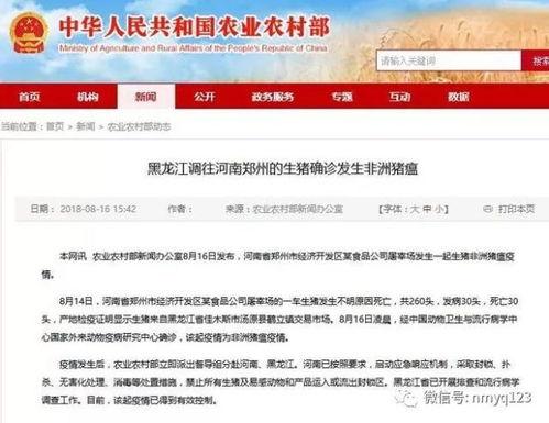 八村最新爆料消息今天新闻,揭秘今日热点新闻背后的真相！”  第1张