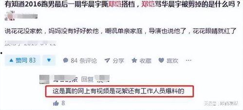 郑恺华晨宇视频爆料,揭秘娱乐圈幕后故事 第3张 郑恺华晨宇视频爆料,揭秘娱乐圈幕后故事 第3张