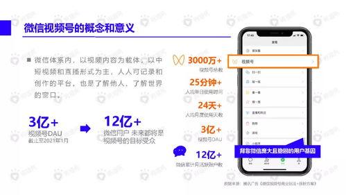 新的季节爆料动作视频下载,揭秘最新爆料视频下载攻略