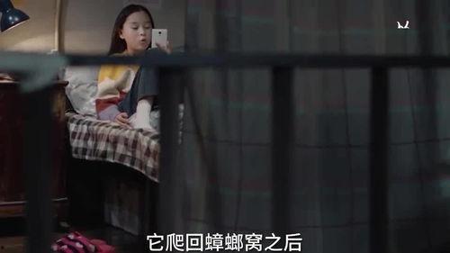 姐妹爆料完整视频在线播放,独家内容在线播放 第3张 姐妹爆料完整视频在线播放,独家内容在线播放 第3张