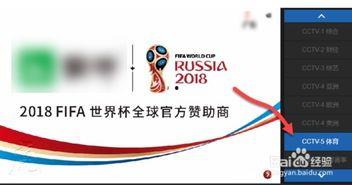世界杯今日爆料直播回放,精彩瞬间与幕后花絮直播回顾 第2张 世界杯今日爆料直播回放,精彩瞬间与幕后花絮直播回顾 第2张