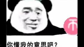 新猫新鼠爆料视频大全免费观看,免费观看，揭秘娱乐圈幕后故事