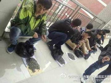 临汾卫校爆料最新,校园风云再起,真相即将揭晓!” 第3张 临汾卫校爆料最新,校园风云再起,真相即将揭晓!” 第3张