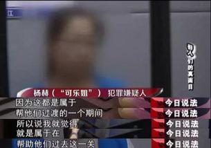 夜场套路爆料案例最新视频,最新视频案例深度剖析