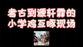 时光守护者爆料视频大全,视频大全背后的历史秘密与传奇故事  第2张