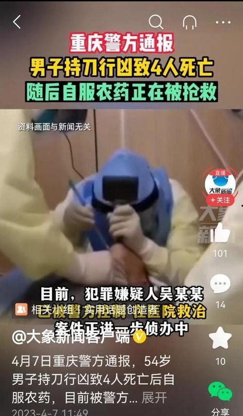 重庆命案大爆料视频播放,视频播放揭示惊人真相 第2张 重庆命案大爆料视频播放,视频播放揭示惊人真相 第2张