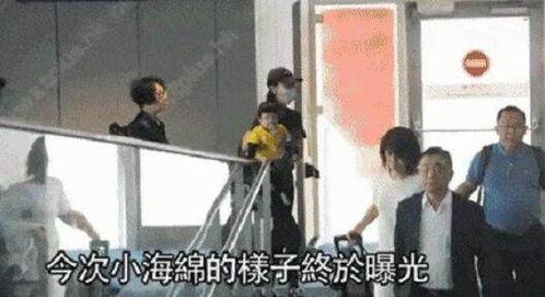 明星偷钱爆料视频,明星偷钱视频曝光，真相令人震惊