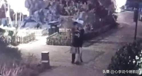 兰州老街吃瓜视频全集免费,免费观看吃瓜视频全集,尽享地道美食之旅 第1张 兰州老街吃瓜视频全集免费,免费观看吃瓜视频全集,尽享地道美食之旅 第1张