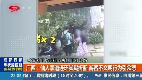 男子爆料景区视频播放,揭秘景区背后的真相  第2张