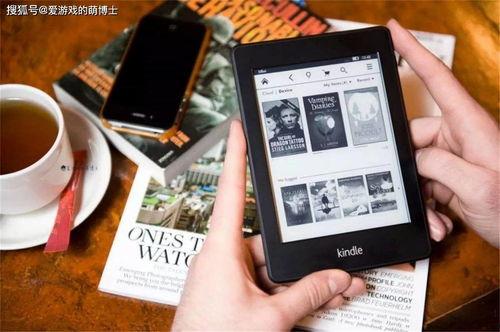 娱乐圈电子书爆料,揭秘明星背后的真实故事  第3张