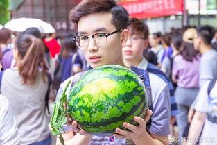 国内免费最大的吃瓜网,最大吃瓜网带你畅游娱乐热点