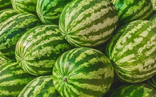 国内免费最大的吃瓜网,最大吃瓜网带你畅游娱乐热点  第2张