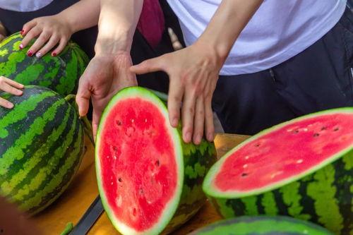 国内免费最大的吃瓜网,最大吃瓜网带你畅游娱乐热点  第3张