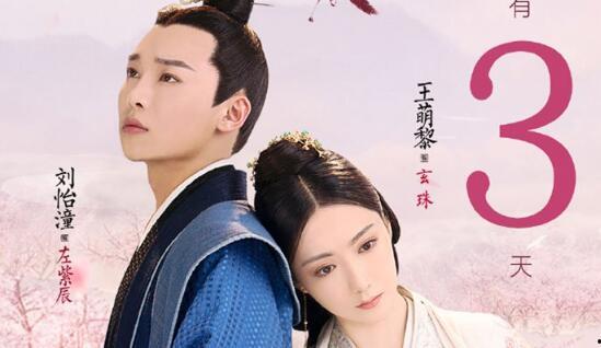 紫辰和玄珠结婚爆料视频,独家爆料视频揭秘浪漫瞬间