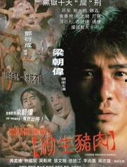 砌生猪肉完整在线观看,一场惊心动魄的美食冒险之旅