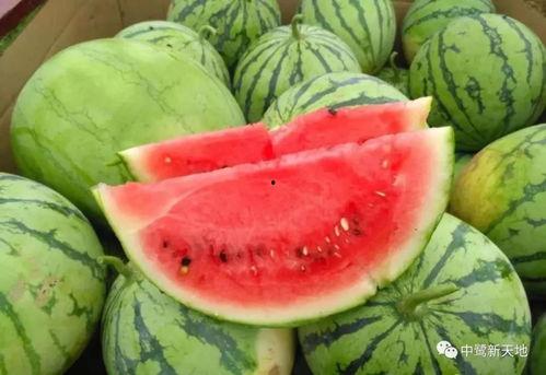 今日吃瓜网红看料-海外吃瓜,海外吃瓜网红带你领略异国“瓜界”风云  第3张