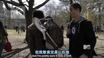 少狼第三季在线观看,青春校园的奇幻冒险再续篇章  第2张