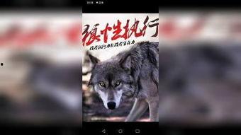 少狼第三季在线观看,青春校园的奇幻冒险再续篇章  第3张