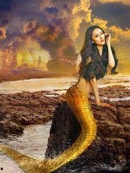 3d美人鱼在线观看,3D美人鱼奇幻之旅  第2张