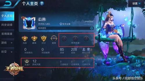 王者娱乐爆料,揭秘游戏幕后精彩瞬间