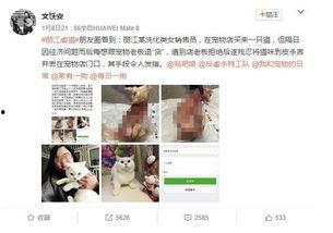 保定宠物店爆料视频播放,揭露行业黑幕