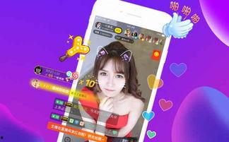 保定宠物店爆料视频播放,揭露行业黑幕 第3张 保定宠物店爆料视频播放,揭露行业黑幕 第3张