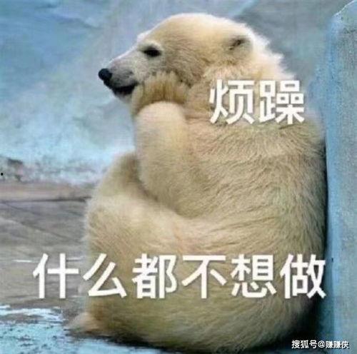 吃瓜群众免费图片高清,揭秘吃瓜群众免费高清图片背后的故事  第3张