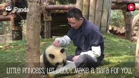 加菲最新爆料视频大全,揭秘娱乐圈幕后真相  第2张