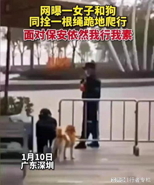 深圳小区女子爆料视频,揭露惊人真相