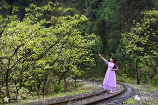 风景视频爆料  第2张