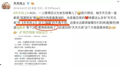 娱乐圈爆料几百页,数百页秘闻揭秘,明星幕后真相大曝光 第1张 娱乐圈爆料几百页,数百页秘闻揭秘,明星幕后真相大曝光 第1张