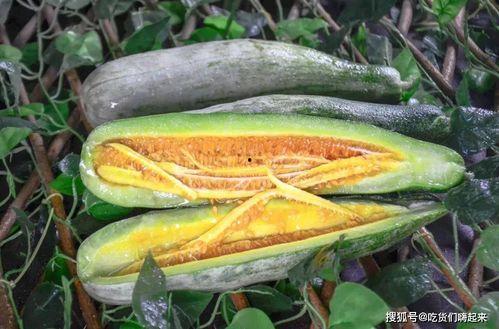 吃瓜的康县网红,揭秘网络红人的魅力与争议 第1张 吃瓜的康县网红,揭秘网络红人的魅力与争议 第1张