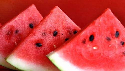 吃瓜的康县网红,揭秘网络红人的魅力与争议 第3张 吃瓜的康县网红,揭秘网络红人的魅力与争议 第3张