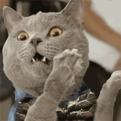 牛道爆料视频大全集最新,揭秘最新视频大全集精彩瞬间