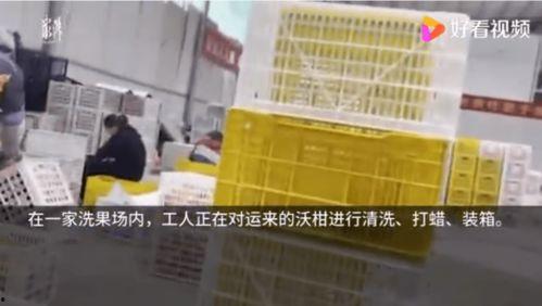 如何在澎湃新闻上爆料,揭秘事件背后真相