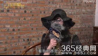 赵四爆料全部视频  第2张