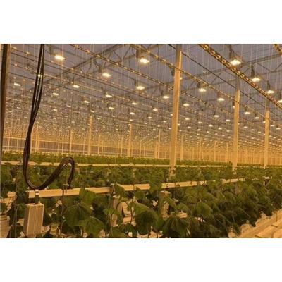 热点大棚爆料视频大全集,揭秘农业科技前沿与产业变革  第1张