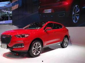 哈佛最新爆料消息,揭秘学术界的惊人内幕  第1张