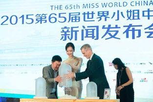 文安何小姐最新爆料新闻,揭秘事件背后真相  第2张