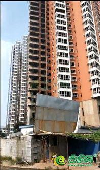 邯郸一小区爆料视频,揭秘真实居住环境与问题 第2张 邯郸一小区爆料视频,揭秘真实居住环境与问题 第2张