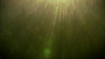 爆料好看风景素材视频大全,盘点热门风景素材视频大全 第3张 爆料好看风景素材视频大全,盘点热门风景素材视频大全 第3张