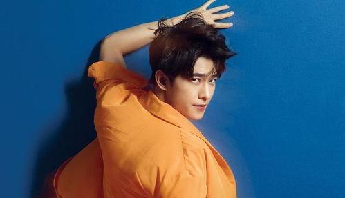 娱乐爆料迪丽热巴杨洋,娱乐爆料引粉丝热议  第2张