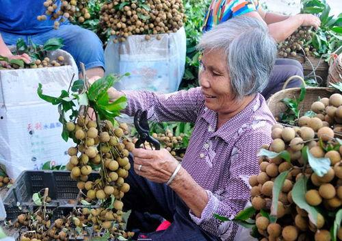 水果大叔爆料视频大全,视频大全背后的精彩故事